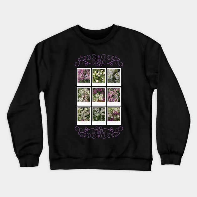 Assylum Photo Collection [full set bundle 2] Crewneck Sweatshirt by deadbeatprince typography